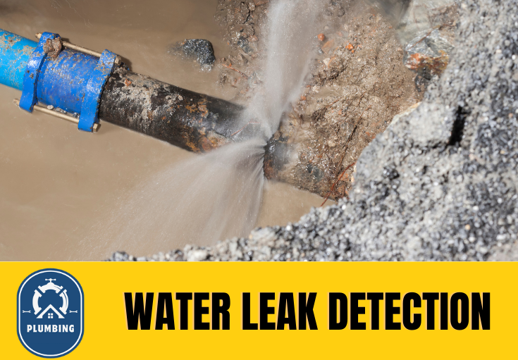 leak detection Faversham